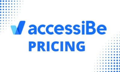 Accessibe pricing