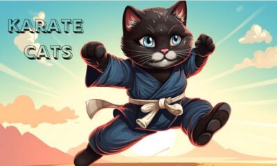 karate cats
